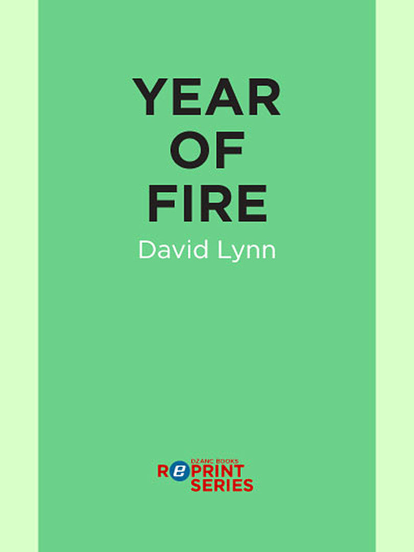 Cover image for Year of Fire ISBN 9781936873418
